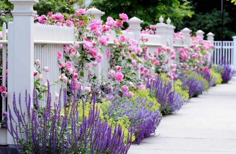 Feminine Front Yard Fence